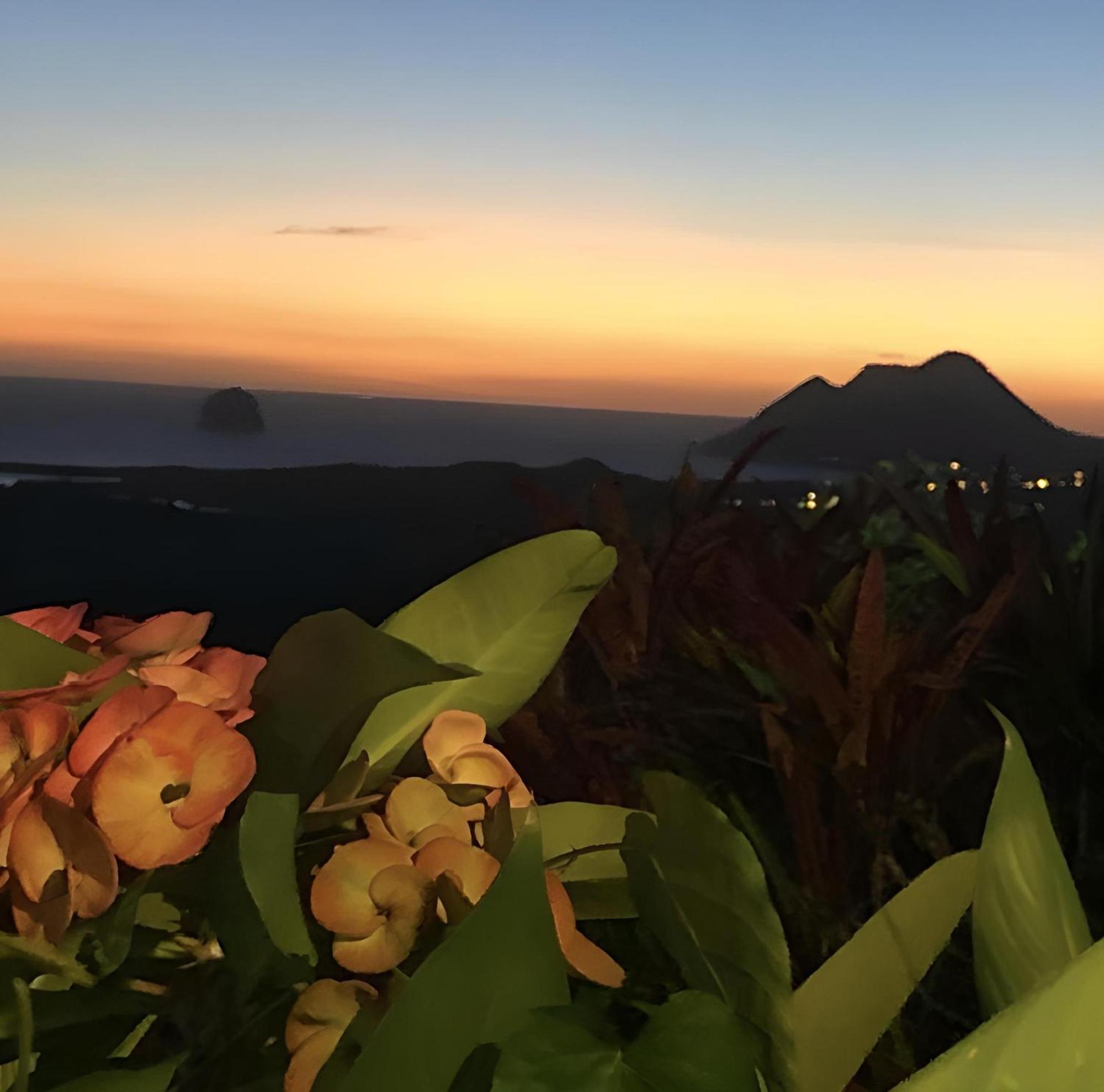 Les Villas Pameyaque 2 F2 Avec 1 Piscine Et 1 F3 Avec 1 Piscine, Superbe Vue Sur La Mer Riviere-Salee エクステリア 写真