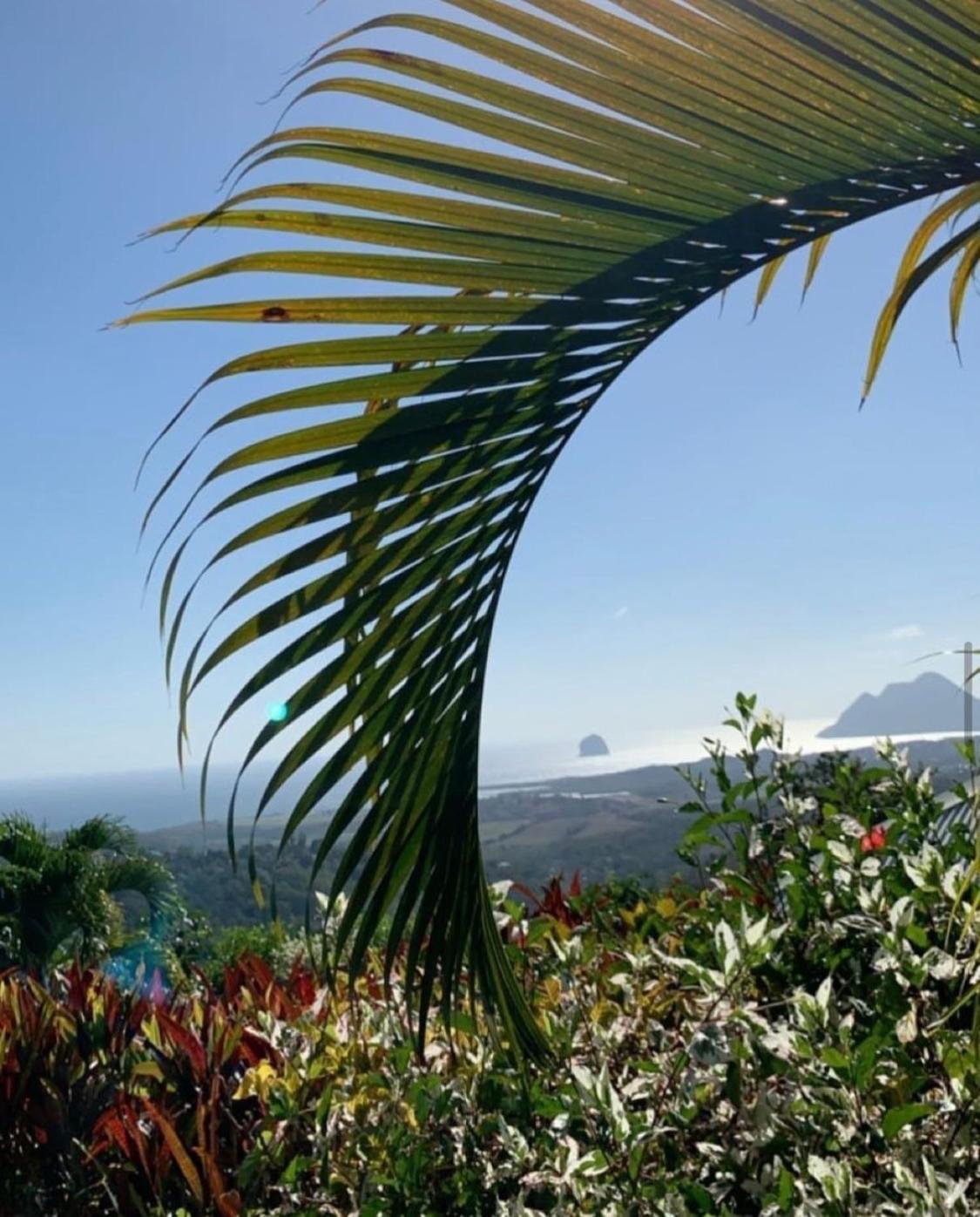 Les Villas Pameyaque 2 F2 Avec 1 Piscine Et 1 F3 Avec 1 Piscine, Superbe Vue Sur La Mer Riviere-Salee エクステリア 写真