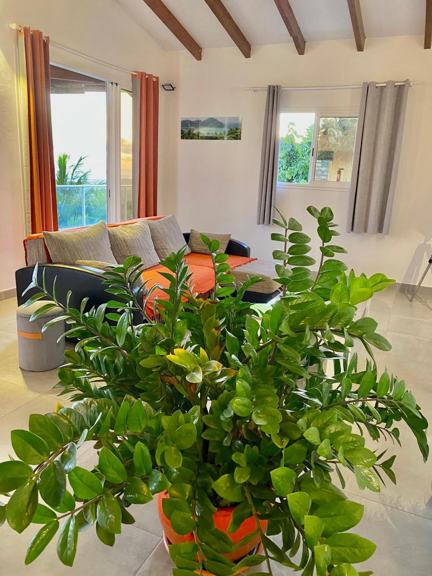 Les Villas Pameyaque 2 F2 Avec 1 Piscine Et 1 F3 Avec 1 Piscine, Superbe Vue Sur La Mer Riviere-Salee エクステリア 写真